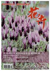 《花卉》
